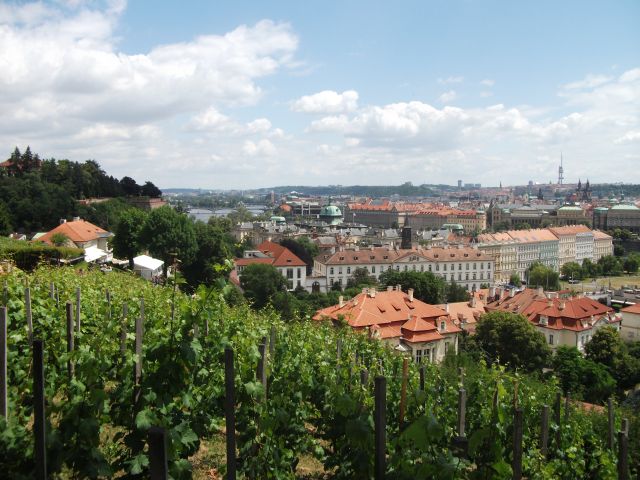 POWIKSZ - Czechy , Praga 3 dni  - Przewodnik po Poznaniu, wycieczki po Poznaniu, Wielkopolsce, Polsce, Podroznik Poznan, pilot, przewodnicy