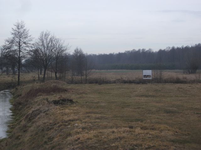 Wielkopolska/ Gizaki - Chocz - egocin -Tarce - Jarocin  

 - FOTO 3 - Przewodnik po Poznaniu, wycieczki po Poznaniu, Wielkopolsce, Polsce, Podroznik Poznan, pilot, przewodnicy