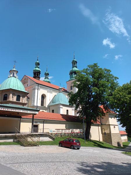 Niedziela Palmowa  w Lipnicy - FOTO 1 - Przewodnik po Poznaniu, wycieczki po Poznaniu, Wielkopolsce, Polsce, Podroznik Poznan, pilot, przewodnicy