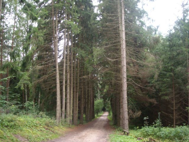 Przez wody Mazur/ rejsy: po pochylniach, z pokonaniem luz, po niardwach, odziami po Krutyni, 

 - FOTO 4 - Przewodnik po Poznaniu, wycieczki po Poznaniu, Wielkopolsce, Polsce, Podroznik Poznan, pilot, przewodnicy