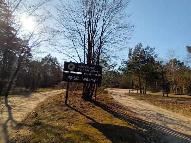 Wielkopolski Park Narodowy / drezyny - FOTO 1 - Przewodnik po Poznaniu, wycieczki po Poznaniu, Wielkopolsce, Polsce, Podroznik Poznan, pilot, przewodnicy