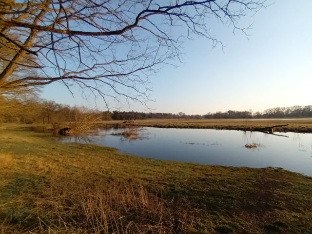 Wielkopolski Park Narodowy / drezyny - FOTO 2 - Przewodnik po Poznaniu, wycieczki po Poznaniu, Wielkopolsce, Polsce, Podroznik Poznan, pilot, przewodnicy