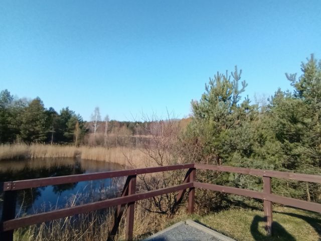 Wielkopolski Park Narodowy / drezyny - FOTO 3 - Przewodnik po Poznaniu, wycieczki po Poznaniu, Wielkopolsce, Polsce, Podroznik Poznan, pilot, przewodnicy