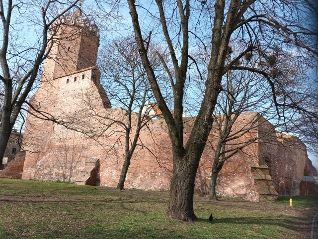 czyca – Tum - Oporw 
 - FOTO 12 - Przewodnik po Poznaniu, wycieczki po Poznaniu, Wielkopolsce, Polsce, Podroznik Poznan, pilot, przewodnicy