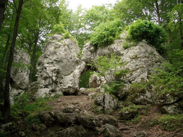 Szlak Orlich Gniazd 2 dni  - FOTO 1 - Przewodnik po Poznaniu, wycieczki po Poznaniu, Wielkopolsce, Polsce, Podroznik Poznan, pilot, przewodnicy