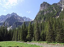 Zakopane - Tatry - Tyniec - FOTO 4 - Przewodnik po Poznaniu, wycieczki po Poznaniu, Wielkopolsce, Polsce, Podroznik Poznan, pilot, przewodnicy
