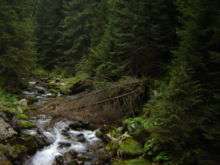 Zakopane - Tatry - Tyniec - FOTO 5 - Przewodnik po Poznaniu, wycieczki po Poznaniu, Wielkopolsce, Polsce, Podroznik Poznan, pilot, przewodnicy